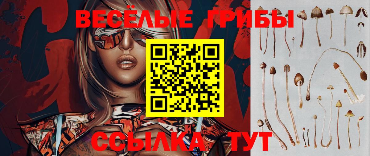 Галлюциногенные грибы Cubensis Железноводск